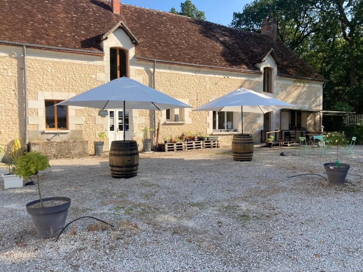Les Pierres D'Aurele Chambres D'Hotes Saint-Georges-sur-Cher Exterior photo