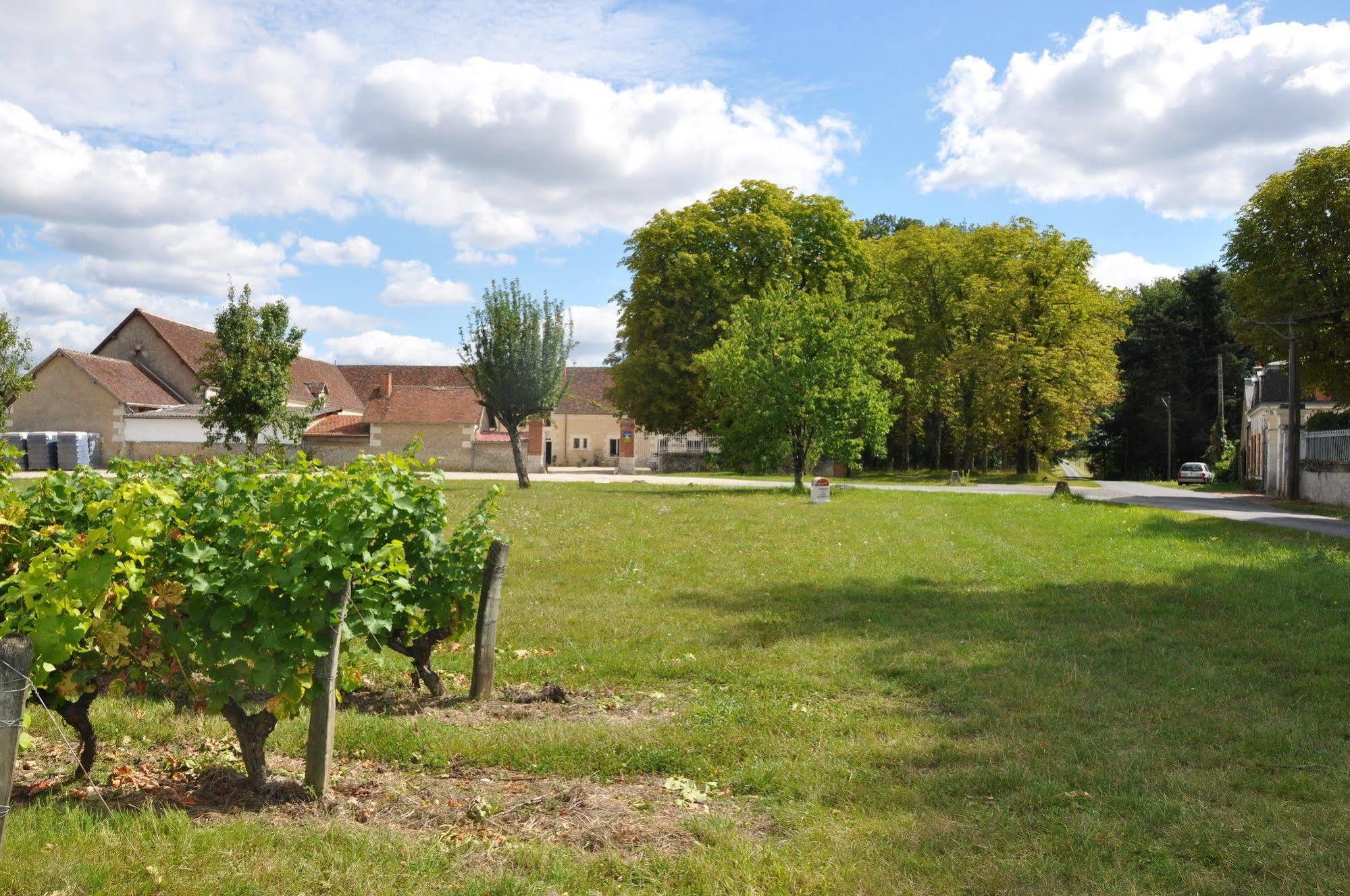 Les Pierres D'Aurele Chambres D'Hotes Saint-Georges-sur-Cher Exterior photo